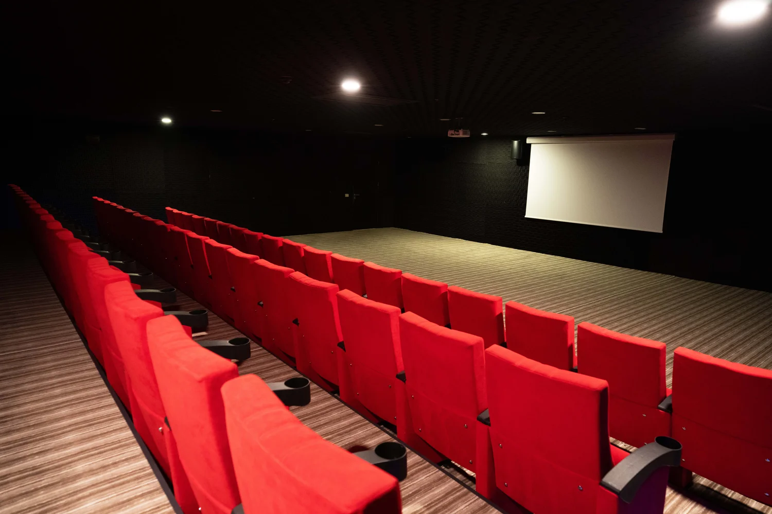 SİNEMA SALONU